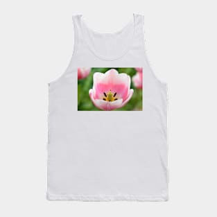 Tulipa  &#39;Valentine&#39;   Triumph Group  Tulip Tank Top